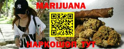 гидра Кандалакша