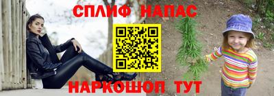 гидра Кандалакша